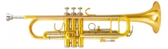 Bb Trumpet Gold brass bell Lacquer surface Chinese...