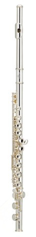 C Flute 16 Closed Holes Offset G WoodWind Instruments online Store with Wood Case
