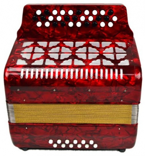 31buttons 12bass Bayan Accordion Musical instruments online Sale