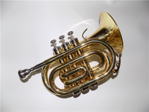 Bb Pocket Cornet Yellow Brass Body Lacquer Finish Trumpet Sale OEM Dropshipping China mainland supplier