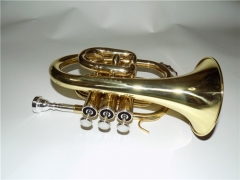 Bb Pocket Trumpet Brass Body with ABS case and mouthpiece Musical instruments Supplier