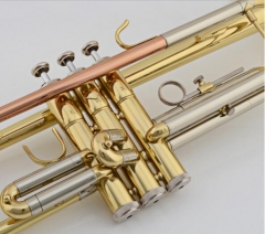 Bb Brass Trumpet Gold brass with Trumpet case Mouthpiece Musical instruments Dropshipping