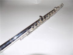 C Flute 16 Closed Holes Offset G Italy Pads WoodWind Instruments for sale with Case