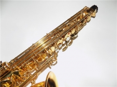 Alto Sax Italy Pads Yellow Brass Body China musical instruments online supply shop wholesale