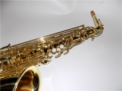 Alto Saxophone Lacquer Finish China mainland Musical instruments Suppliers