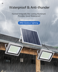 Outdoor indoor installtion LED Solar flood light