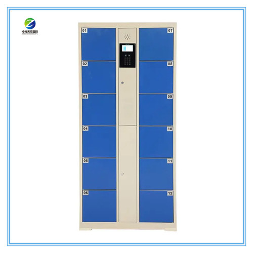 Code Electronic Storage Locker with Computer TH-CSL168