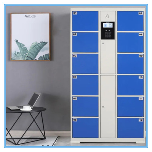 Code Electronic Storage Locker with Computer TH-CSL168