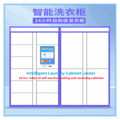 24 Hrs Self-Mailing &amp; Deposit Smart Laundry Cabinet Locker