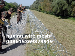 Hot Dipped Galvanized Blade Razor Barbed Wire Coil Concertina Razor Wire