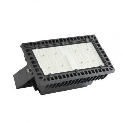 100W High performance LED Flood light