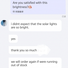 PENEL Solar led street lights were being installed with 8m height for a new construction project in 2024 in the Philippines