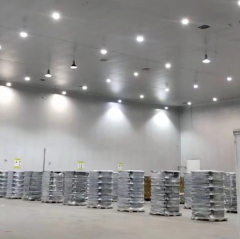 PENEL  200W/100W LED High Bay lights are lighting a Quilmes beer warehouse in 2024 in Argentina.