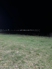 PENEL Street lights are illuminating a park beside the La milita lake in Buenos Aires province in 2024 in Argentina.