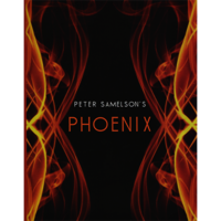 Phoenix by Peter Samelson
