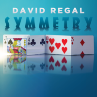 Symmetry by David Regal