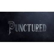 Punctured by Eric Bedard