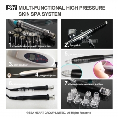 Multi-Functional High Pressure Skin SPA System