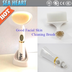 Cheap Home Use Electric Face Skin Care Cleaning Brush