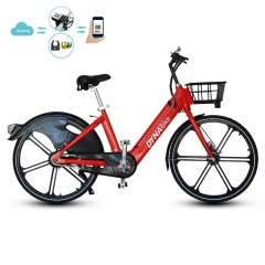 Sharing Electric Bicycle