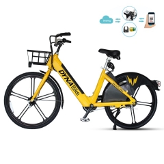 Sharing Electric Bicycle