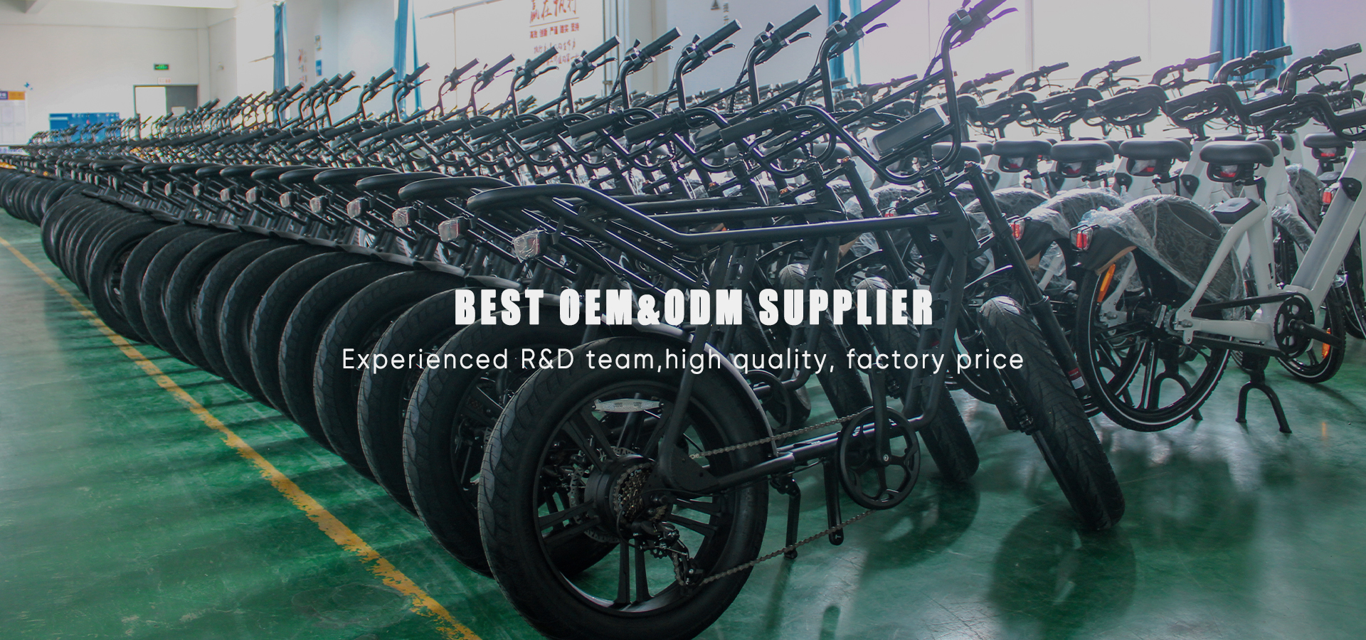 BEST oem&odm supplier