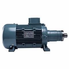 Motor (XINDONGYA) for Edging Machine    90L-2 2.2KW（For Bottom）