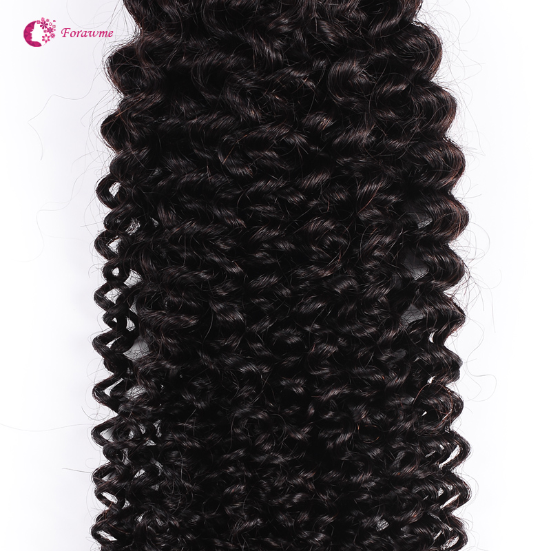 Brazilian kinky curly hair