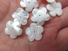 5 pointed shell 100pcs 6 8 10 12mm Genuine MOP Shell ,Pearl Shell filigree florial flower Carved yel