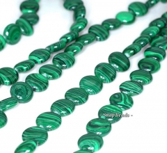 12mm Hedge Mazes Malachite Gemstone Green Flat Round Circle Loose Beads 7 inch Half Strand (90145145-217)