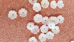 high quality Genuine Pink Queen Conch Shell ,Pearl Shell Rose flower fluorial Cup Crown Hand Carved loose beads 8 10 12mm 20pcs
