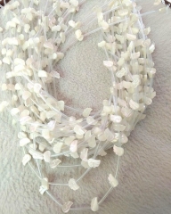 Full strand 15pcs genuine mop shell beads 12-16mm shell bead leaf Carved feather shell Pendant DIY