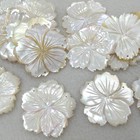 Drilled--10 Pcs Mother of Peal , 5 Petal Flower Shell , White rose fluorite carved Shell Flower ,Round ,  Shell Craft pendant 25mm to 50mm