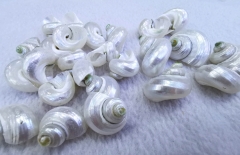 10pcs Sea conch Shell Charms natural freeform beads  for focal/Charm  Fashion Jewelry Findings 15-40mm