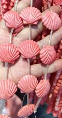 20pcs Pink Red  Conch Sector  cube Shell Cavrved 10-20mm loose beads for   Jewelry Charm Making