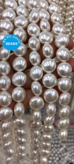 15.5inch  Coin pearl  Luster 8mm 10mm 12mm Ivory White  Disc Roundel Pearls Beads, White Pearl Beads,  Natural Pearls or Jewelry Making