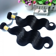 2pcs malaysian hair