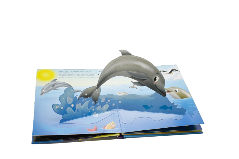 Board Book with window flap