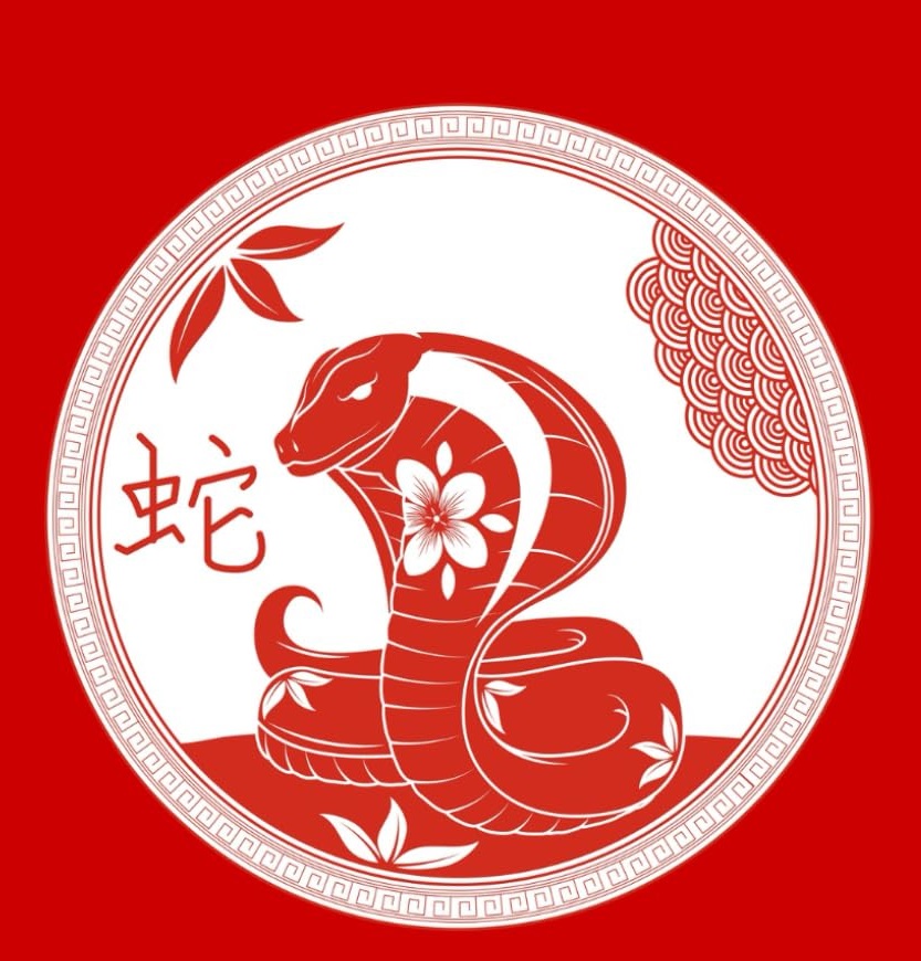 2025 the year of Snake