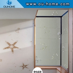 H6906 Removable embossed static glass film