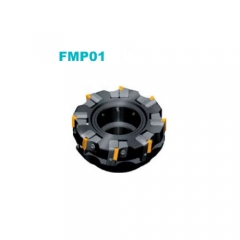 FMP01