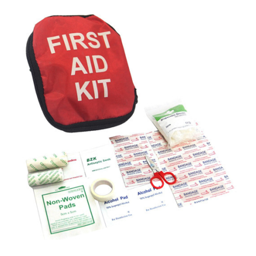 Mini First Aid Kit