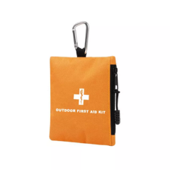 Mini Medical Kit