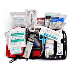 Mini First Aid Kit