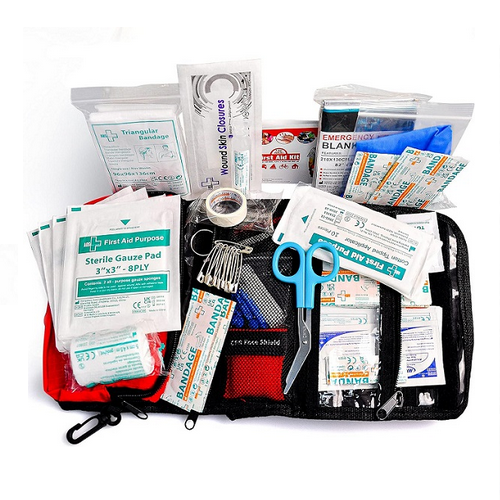 Mini First Aid Kit
