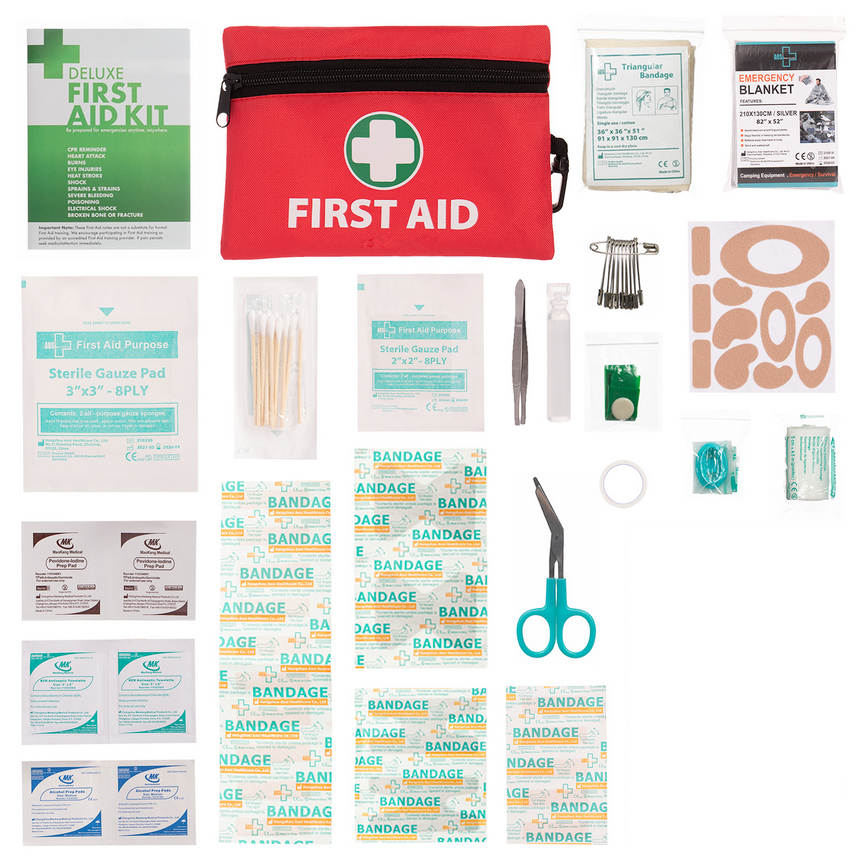 Mini First Aid Kit