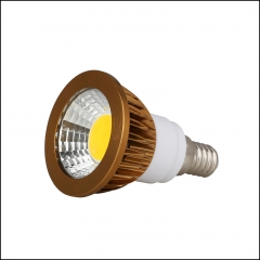 Type6:Brozen Cover LED COB Spotlight