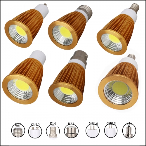 Type5:Golden Cover LED COB Spotlight