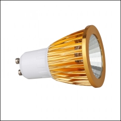 Type5:Golden Cover LED COB Spotlight