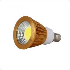 Type5:Golden Cover LED COB Spotlight